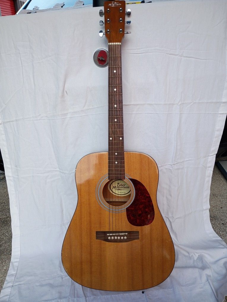 Tyler Mountain Acoustic Guitar