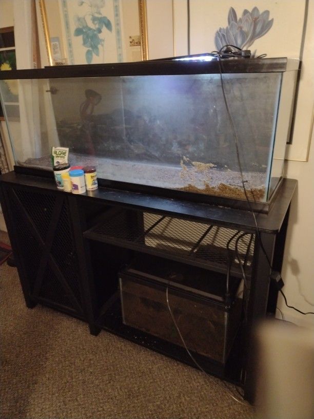 55 Gallon Fish Tank