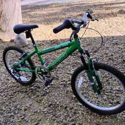 20 Inch Magna Mountain Kids  Bike 