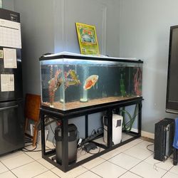 100 Gallon tank and Stand