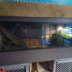 Large Reptile Cage