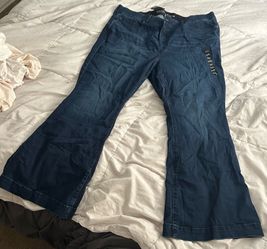 Size 26 Regular Torrid Bombshell Flared Jeans
