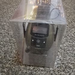 Safety Works Mp3/Am/Fm Digital Radio & Hearing Protector