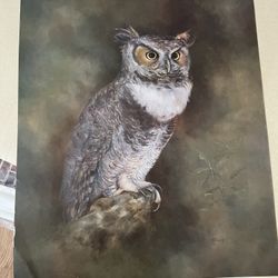 Betty Allison Owl Print 