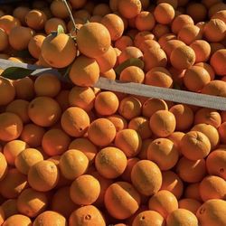 Sweet Oranges 