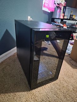 mini fridge