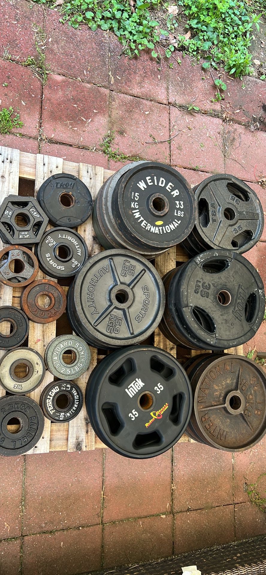 Olympic weight plates 