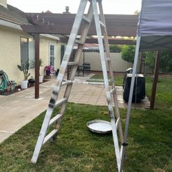 8ft Ladder 