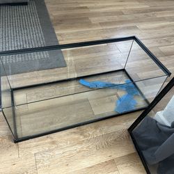 40 gallon tank with light