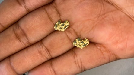 Small nugget earrings