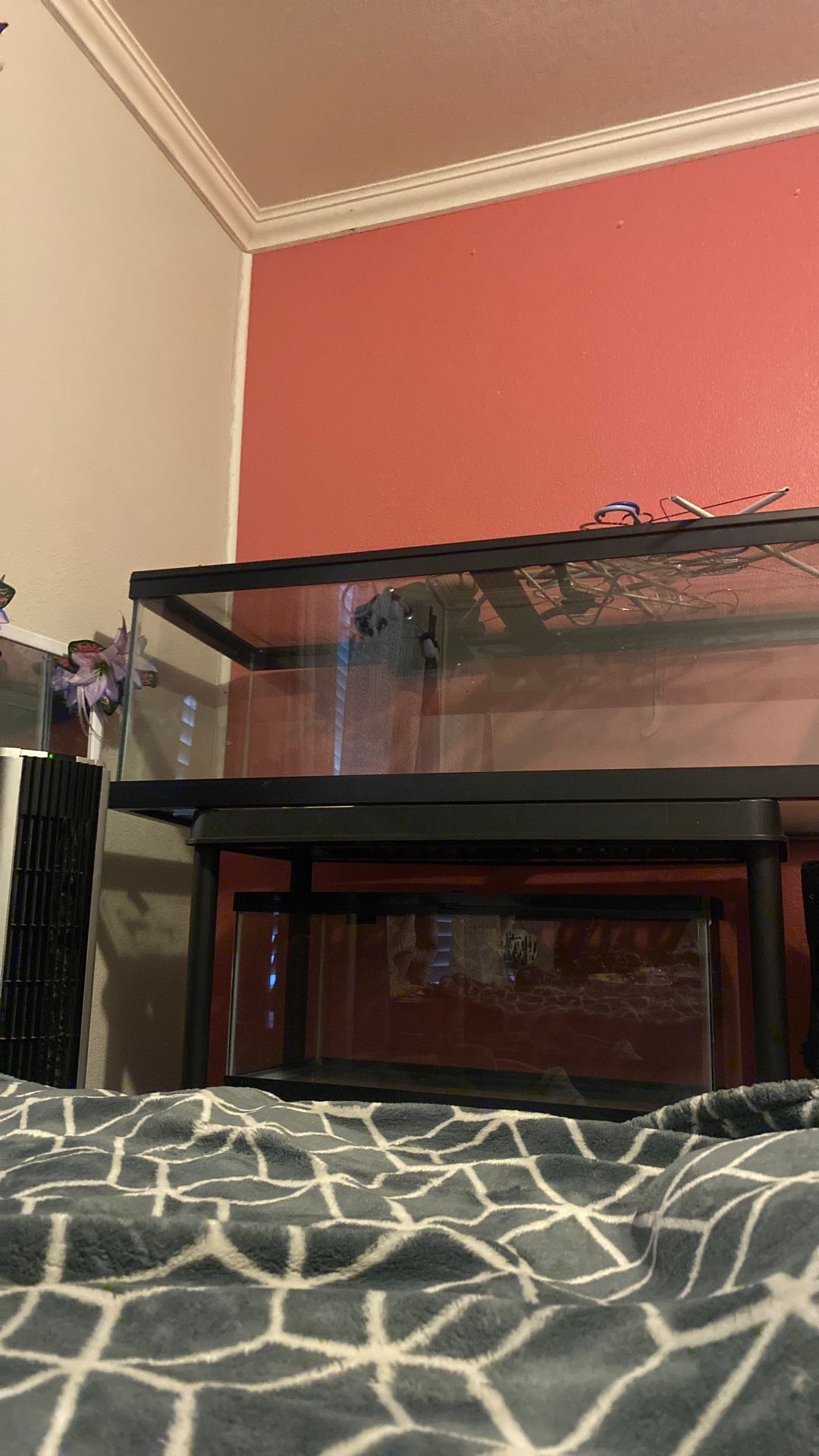 Fish/reptile Tanks