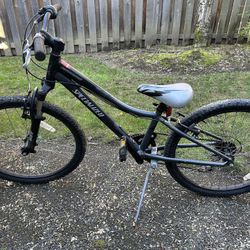 Specialized Hot Rock Bike