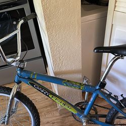Gary Fischer BMX vintage