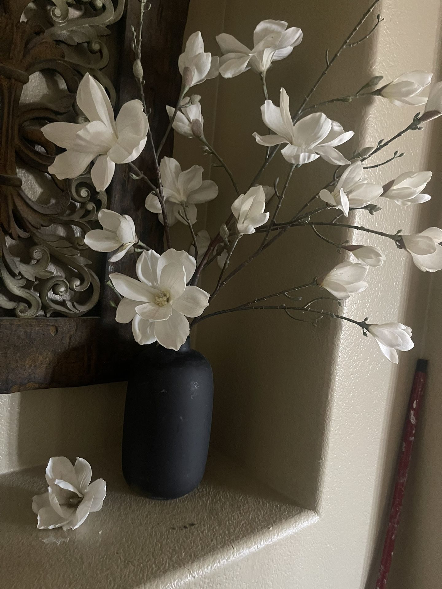 Magnolia Flowers