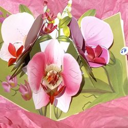 NEW Orchid Pop UP Greeting Card/ Note Card Post Card 