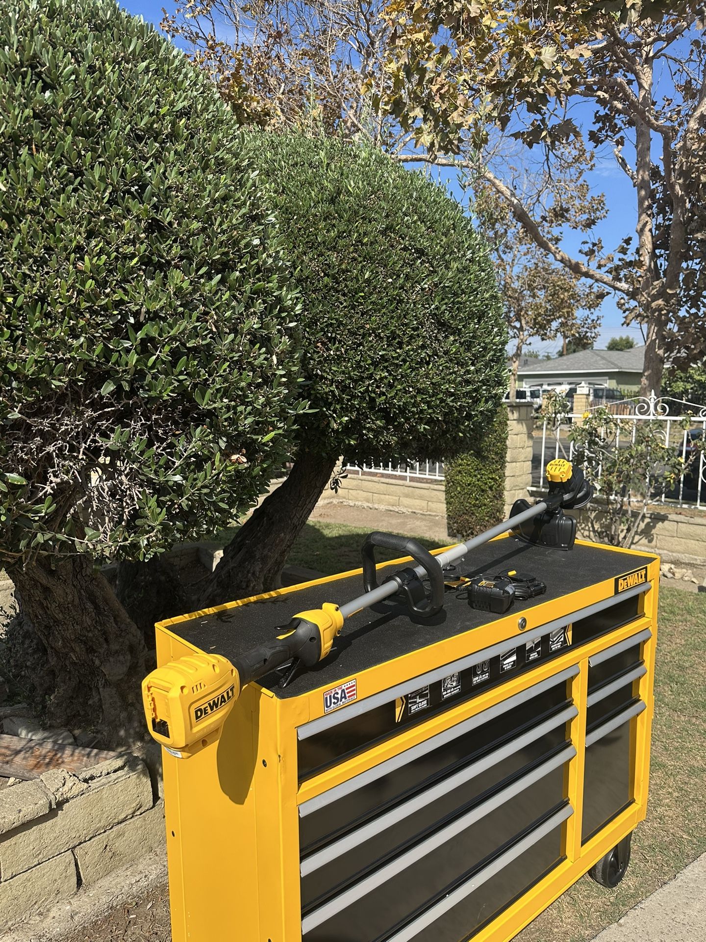 Dewalt String Trimmer