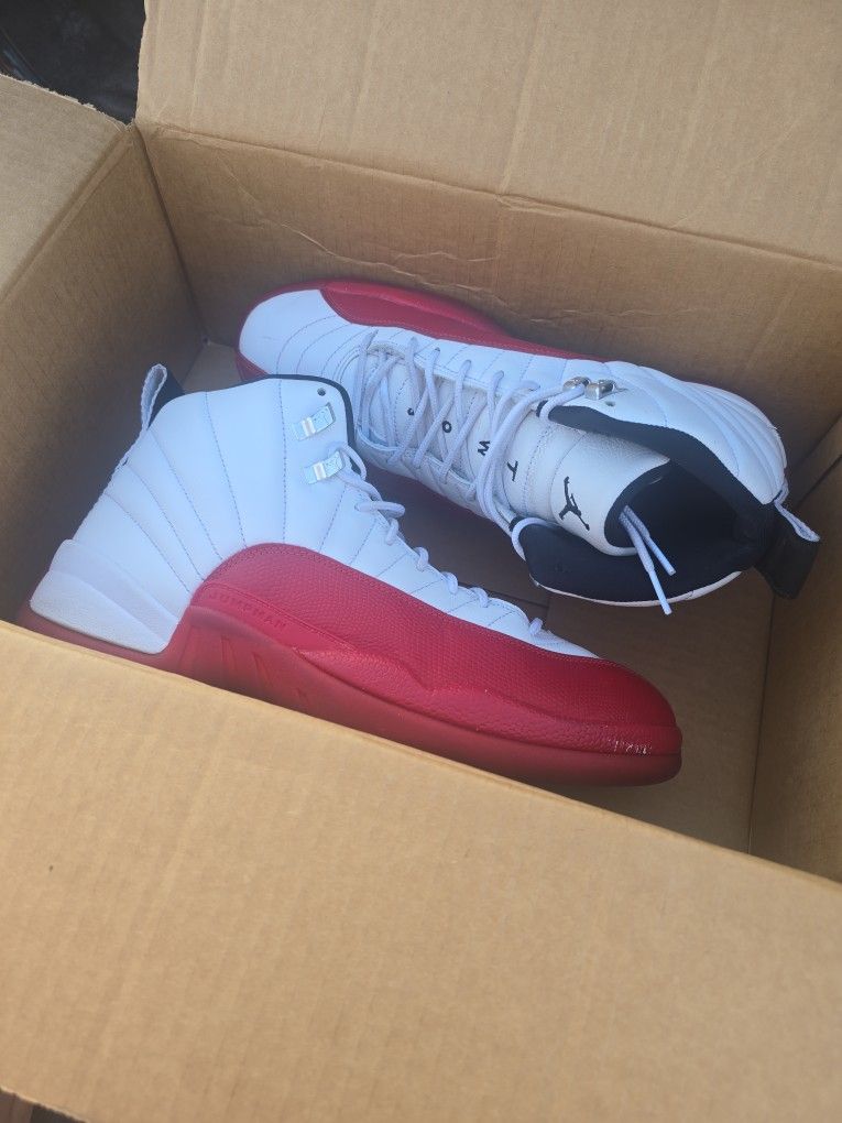 Jordan 12 Mens Size 12 Mens