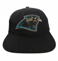 Panthers Hat