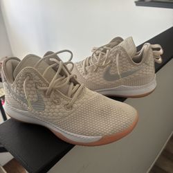 Nike LeBron 