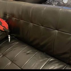 Bed Couch 