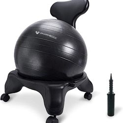 Exercise Ball Chair Brand New Never Used