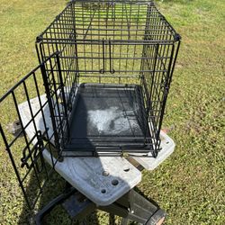Dog Cage 