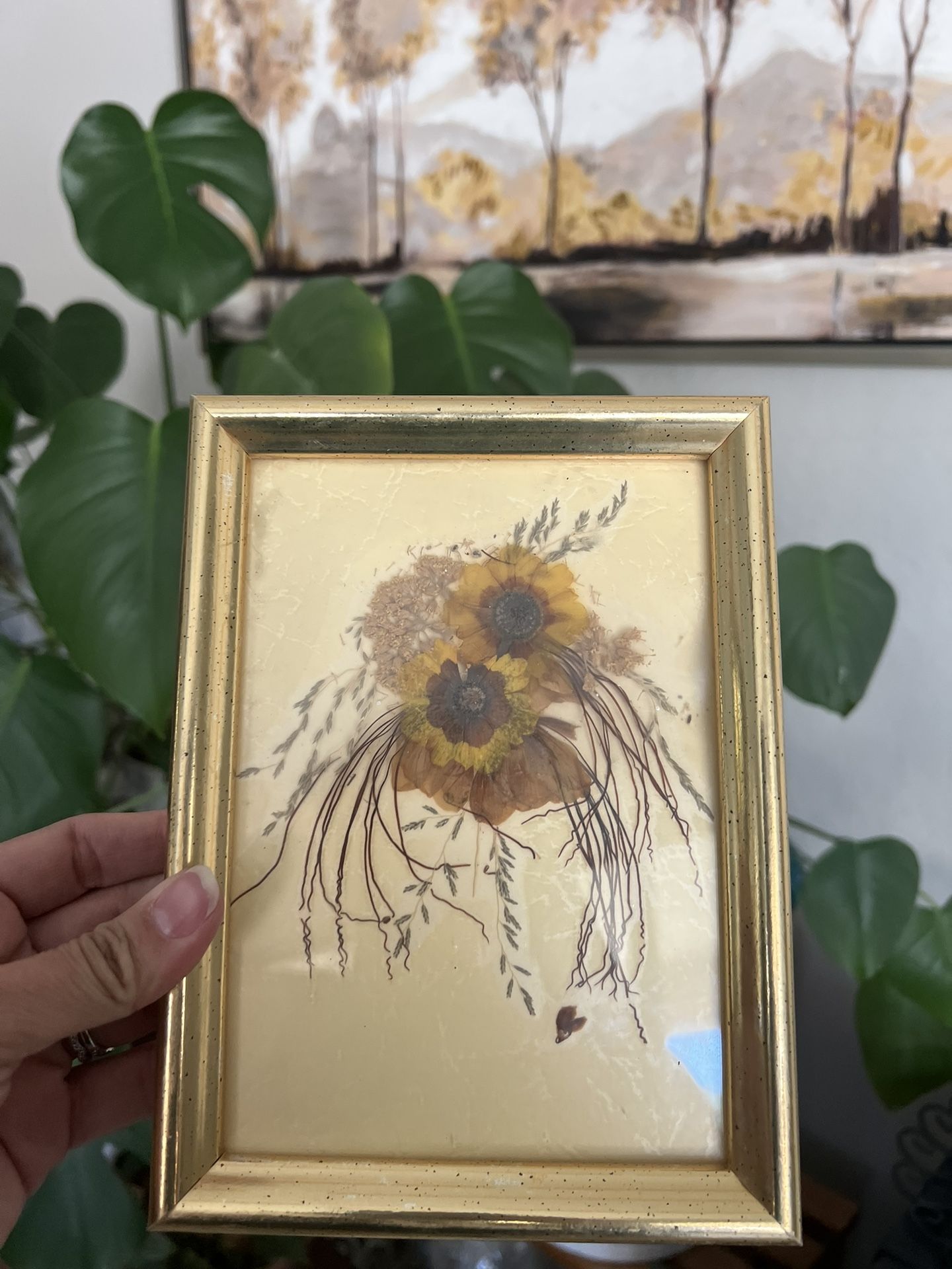 Vintage Pressed Flowers Art in Gold Antique Glass Frame 6x8in