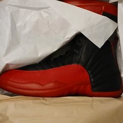 Air Jordan 12 Brand New Size 13