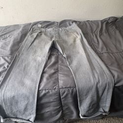 Levi Pants 