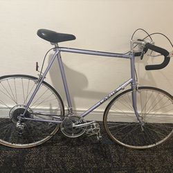 Purple Lotus Vintage Road bike