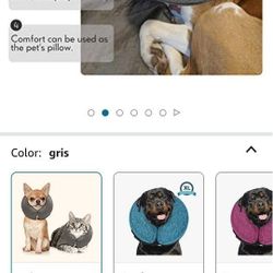 Color For Surgery For Dog 