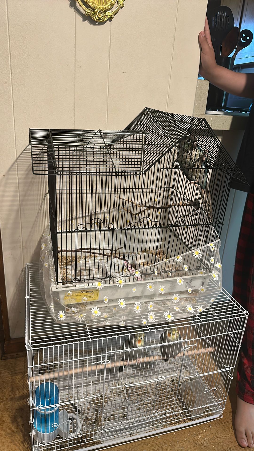 cage for sale