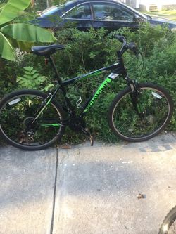 Schwinn bicycle quality beautiful