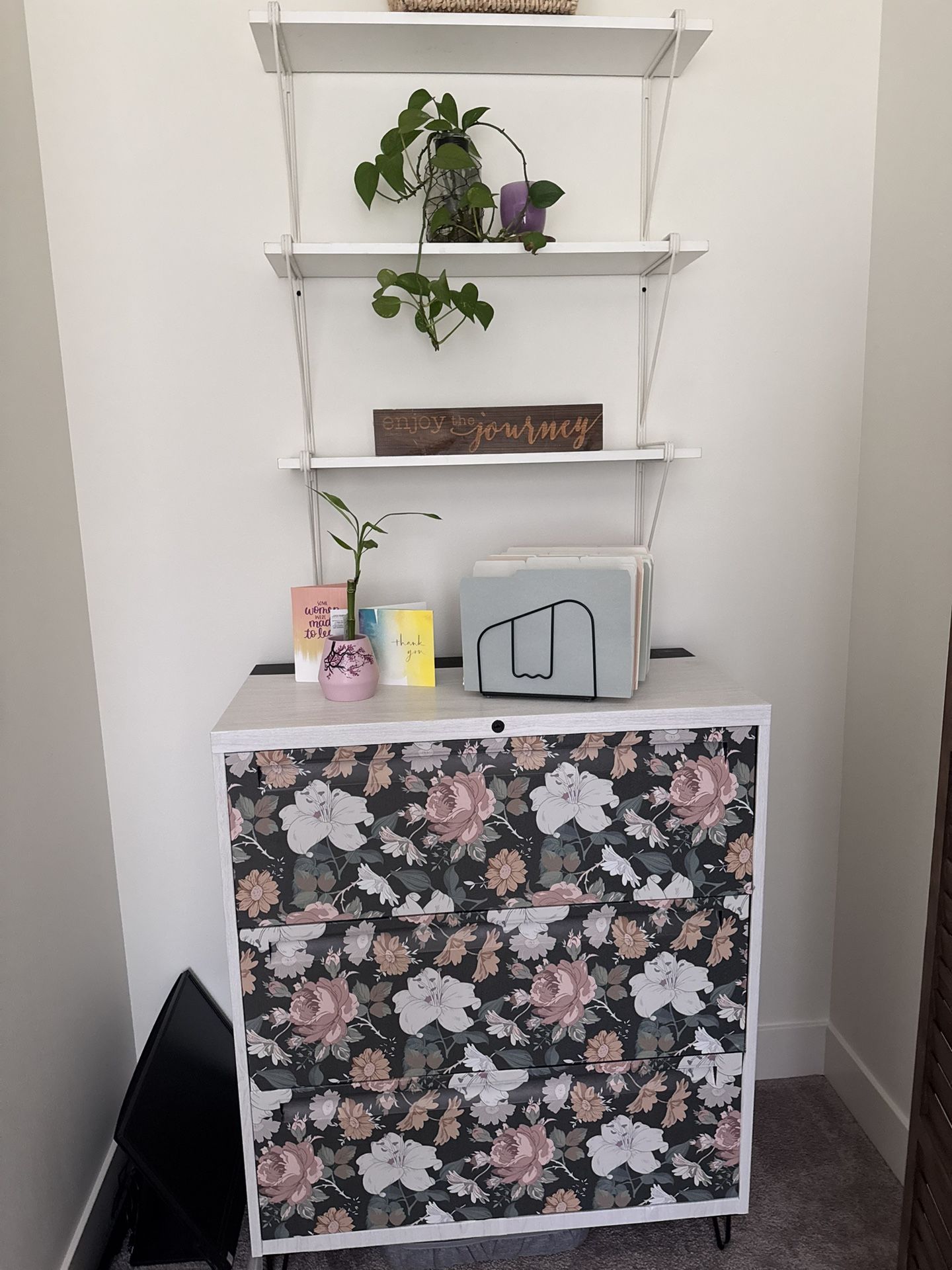 Filing Cabinet And Book Shelf