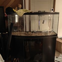 70 Gal Aquarium 