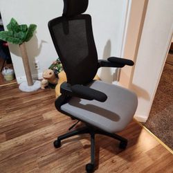 Office Desk Chair / Computer Chair