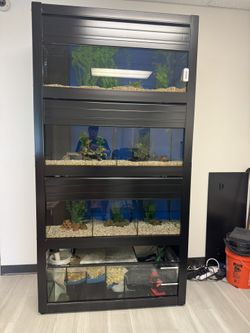 Fish Display Tank