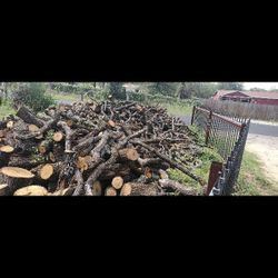 Firewood Logs