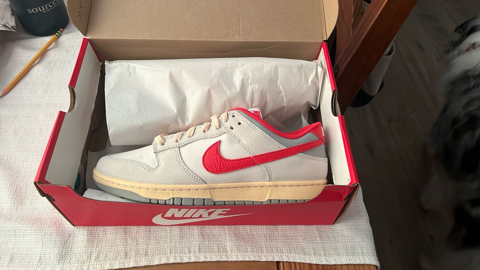 Dunk Low - Georgia Bulldogs Size 9.5 Brand New 