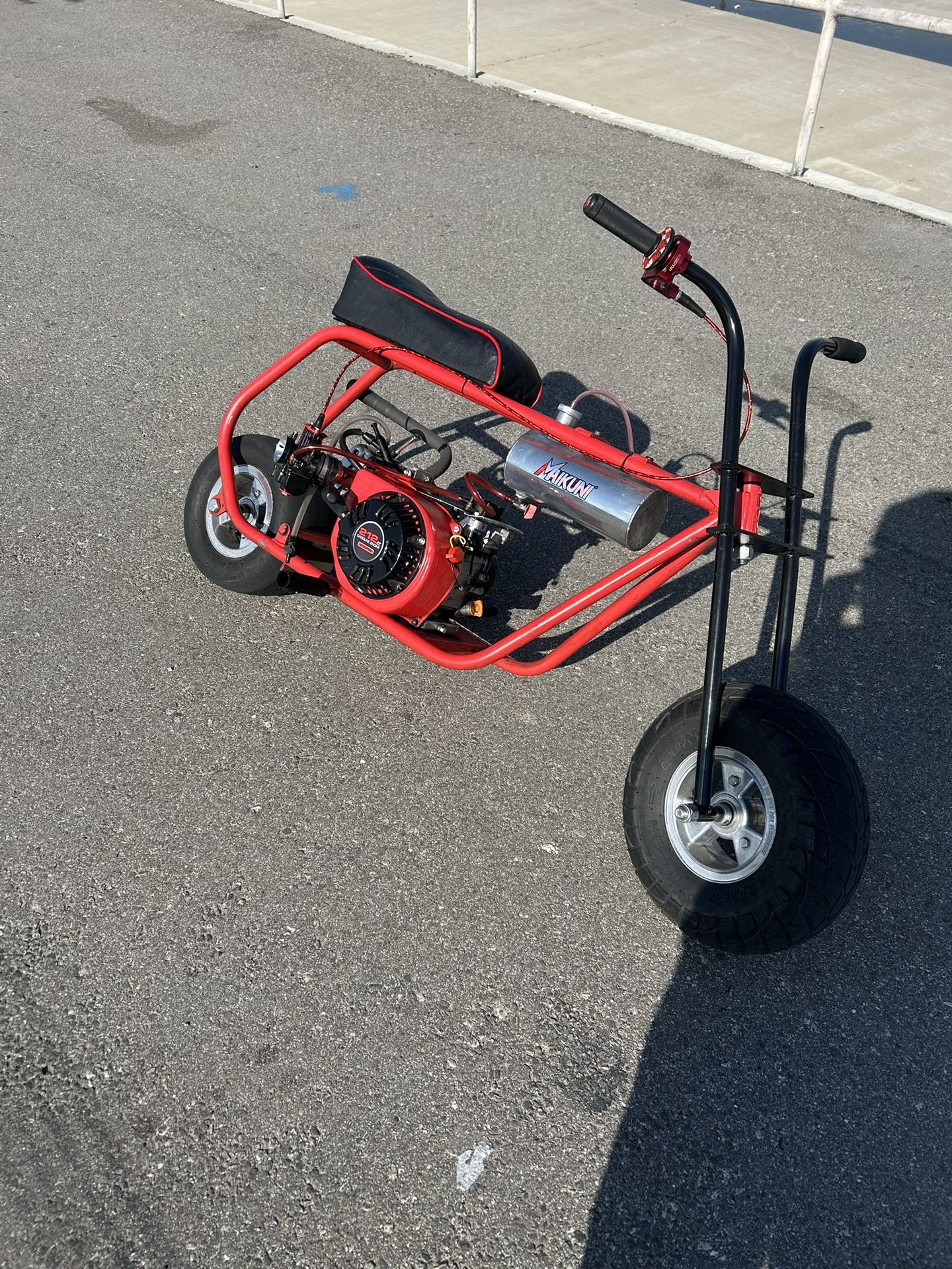 6 Inch Bam Mini