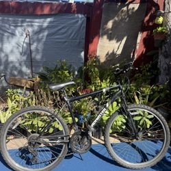 Roadmaster 26 inch Bike 53-559 ( 26 x 1.95) 