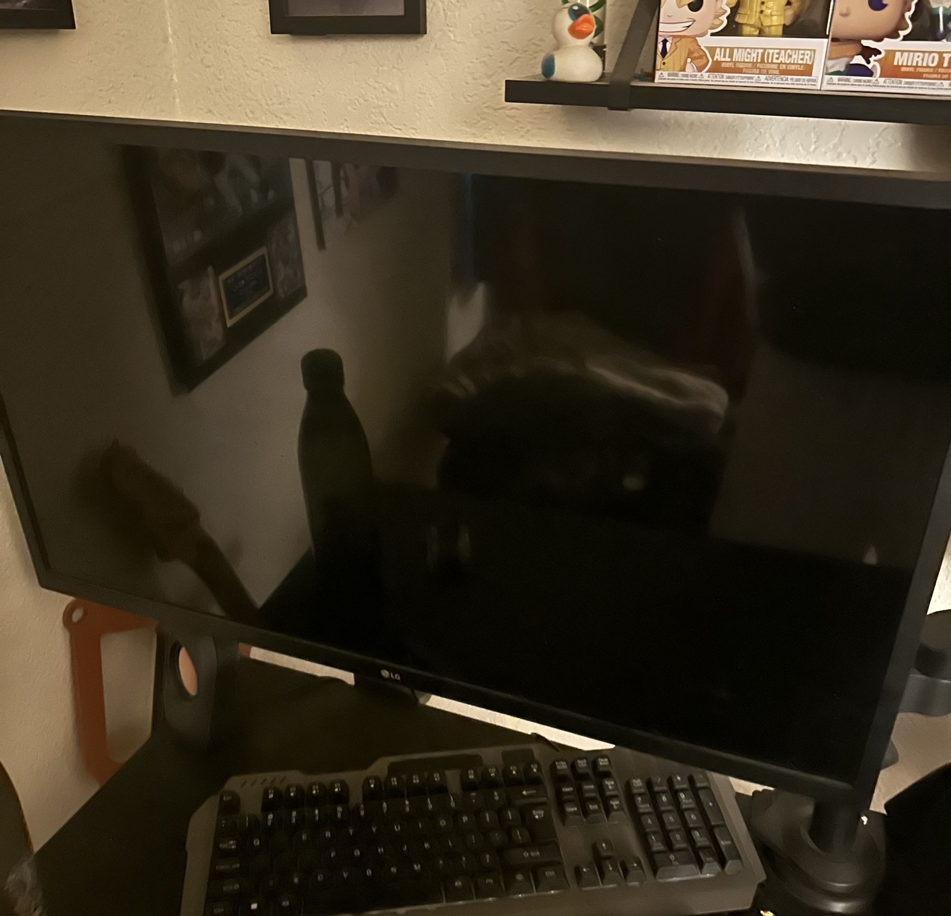 32 Inch LG Monitor