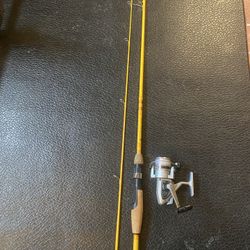 Trout Rod & Reel