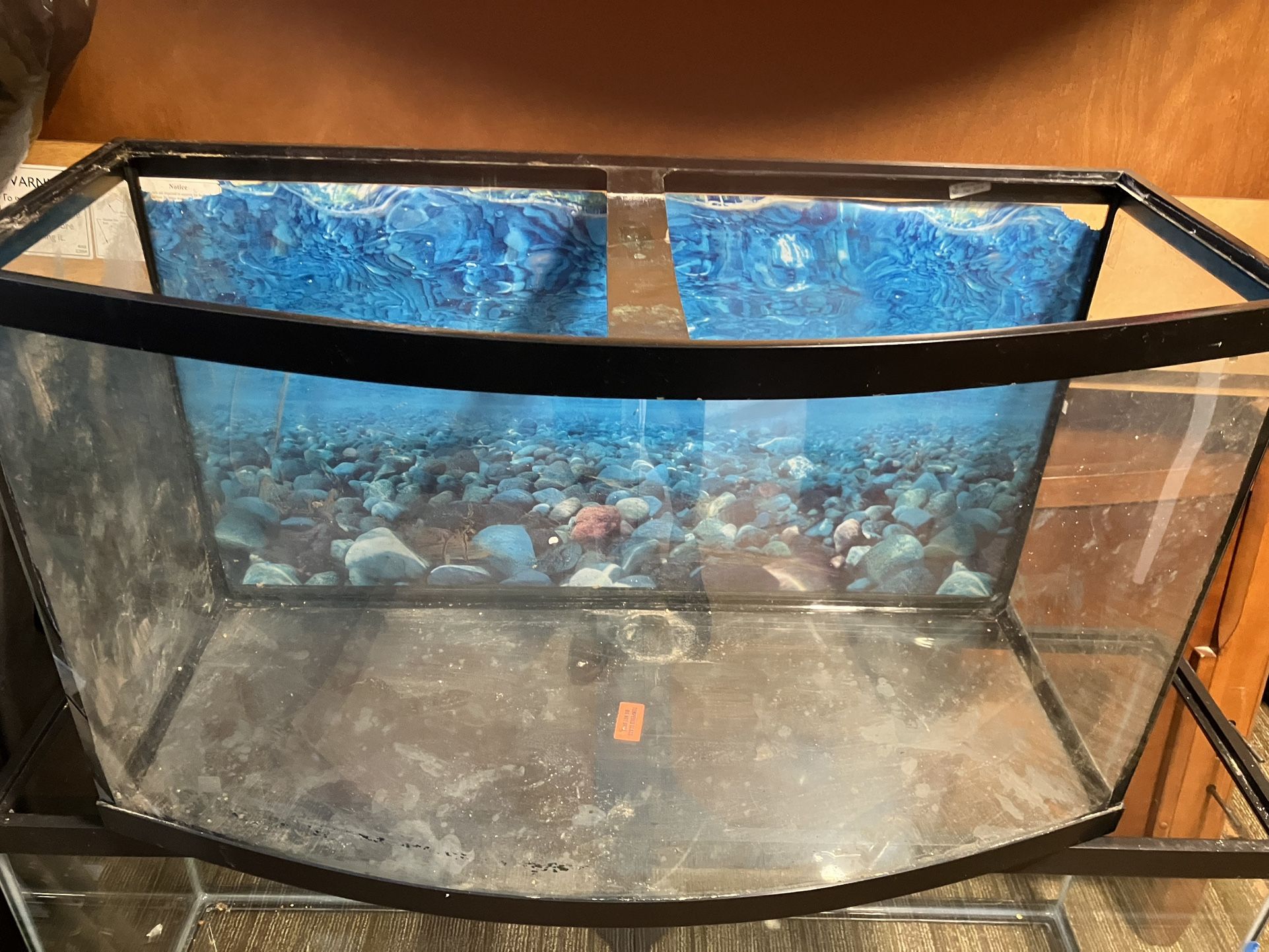 Bow Tank ,stand ,light