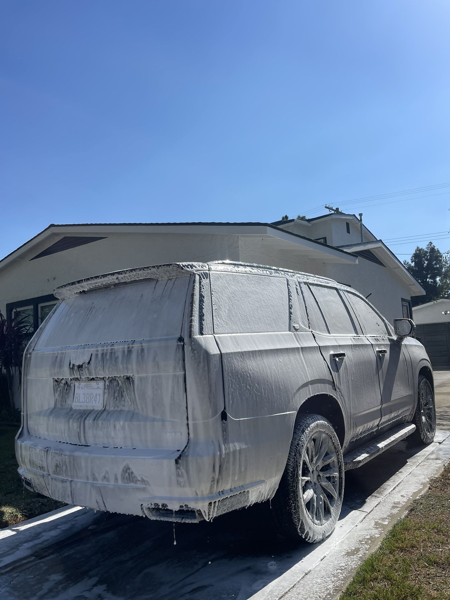 Car Soap