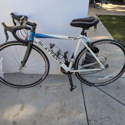 Ladies Scattante R570