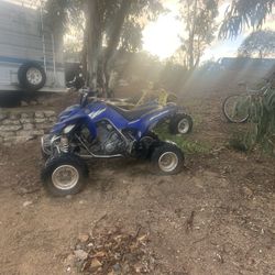 Raptor Yamaha And Suzuki 3,900For Both OBO 