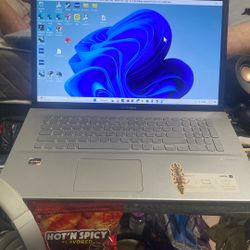 Asus Vivobook 17’