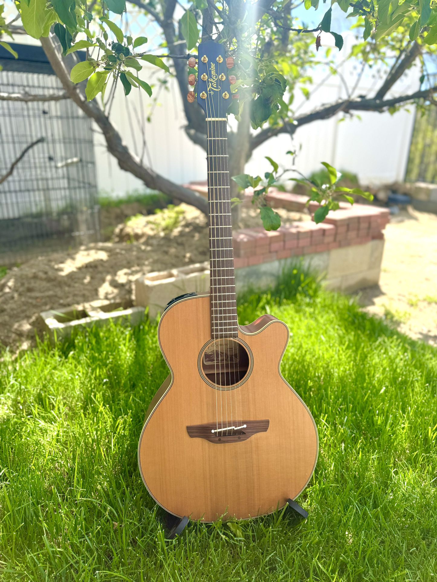 Takamine EAN40C electric acoustic 6 string guitar