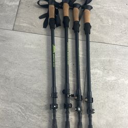 Hiking sticks